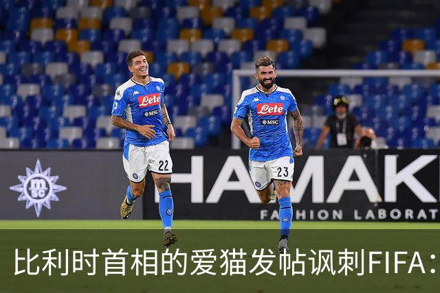 比利时首相的爱猫发帖讽刺FIFA：“红牌？”我照样继续踢！