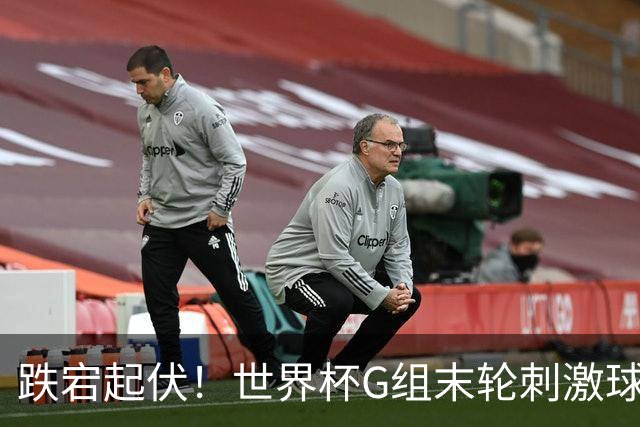 跌宕起伏！世界杯G组末轮刺激球迷心脏 伊朗狂喜过后遭打击